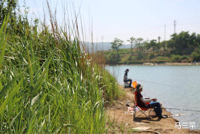 |夏天钓鱼找鱼窝，找这三种地方准没错