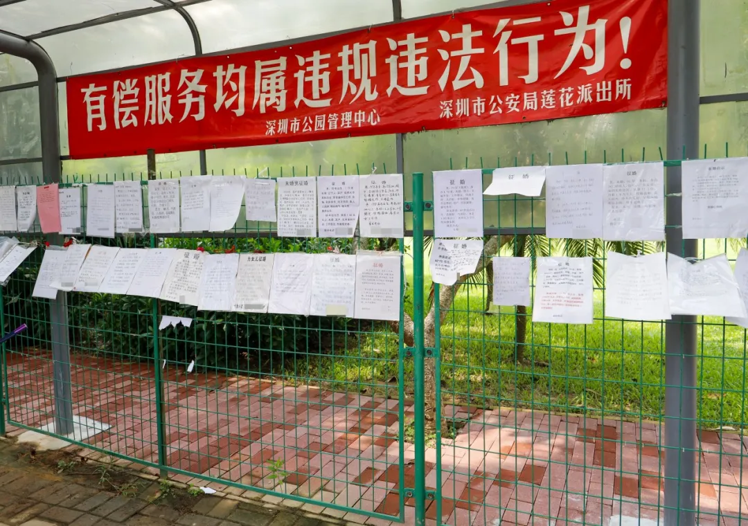 暗访莲花山相亲角,年薪30万只能算起步?