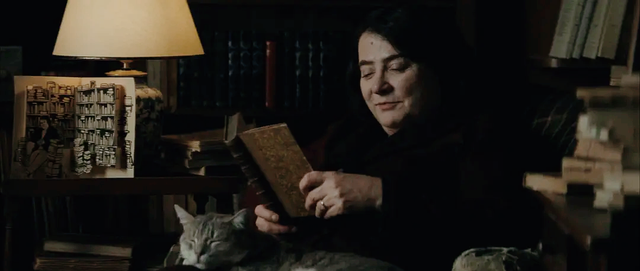 电影|法国高分电影《刺猬的优雅》：它道明了，人世间最令人感动的是什么