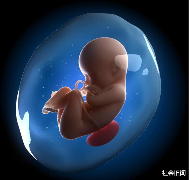 35%的人类已经进化,对比我们的猿猴祖先,现代人类新增了太多能力