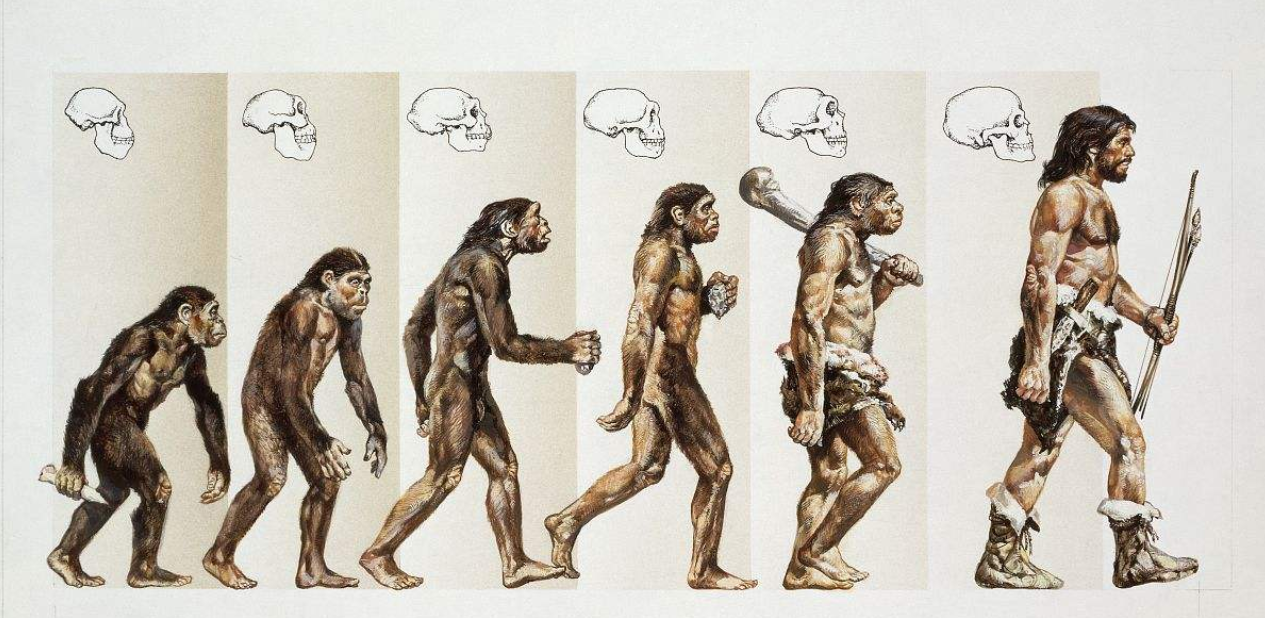 ?我们如何成为人类