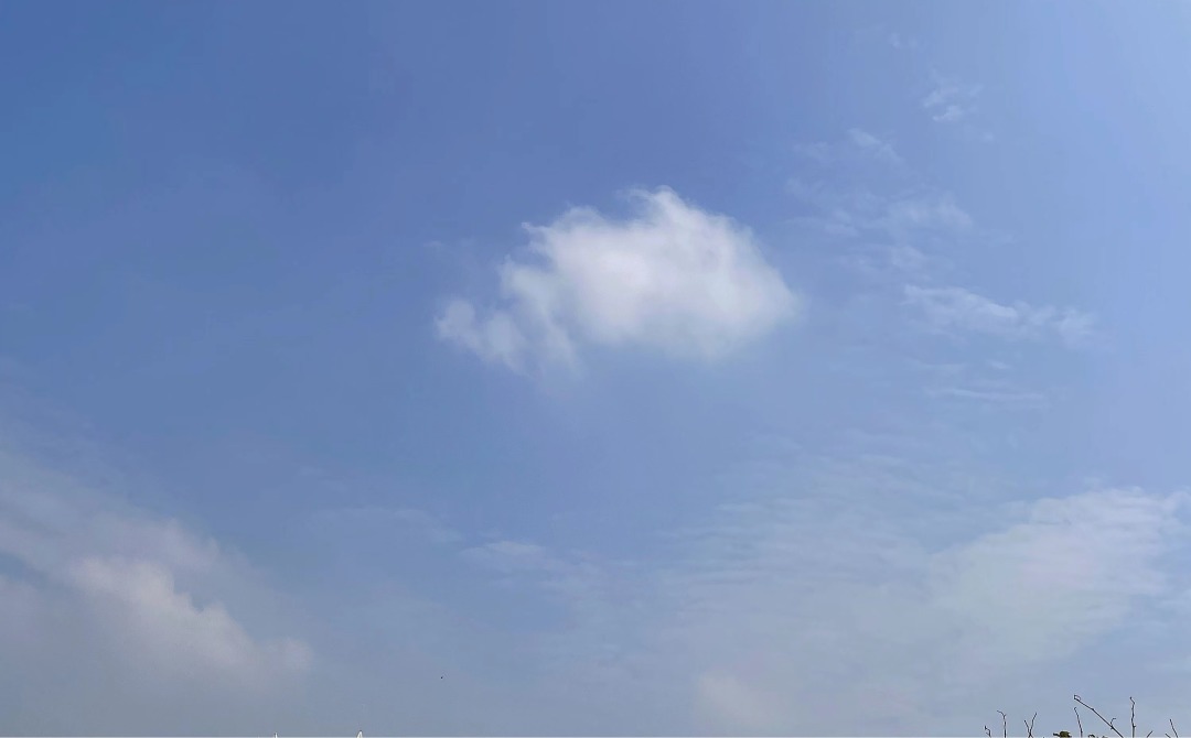 自由职业者|辞职后，我为何不做自由职业者，而是选择继续找工作？