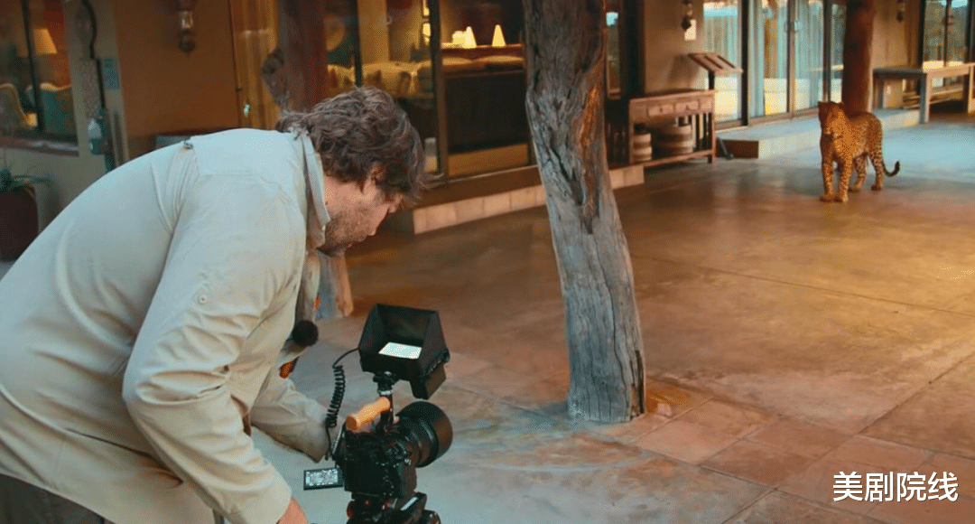 大象 豆瓣9.2，这才是我们现在要看的神作，就该打五星