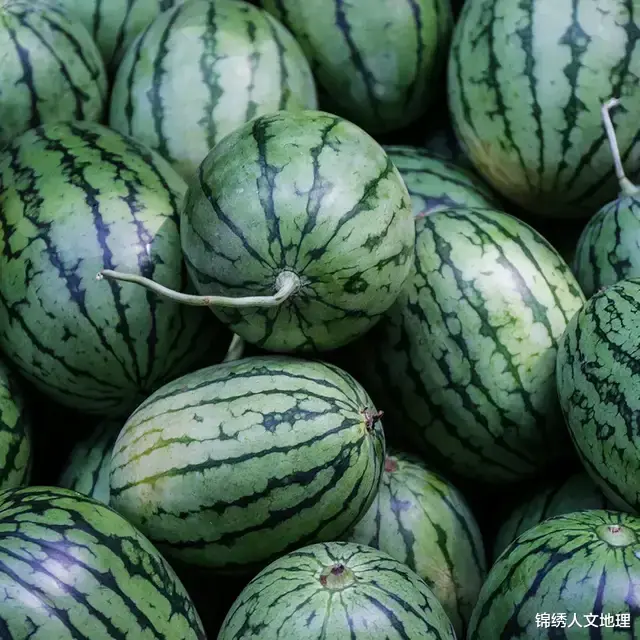 水果|中国水果地理:咬一口,能吃的夏天