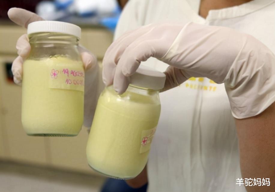母乳 “成人奶妈1500一次”,人乳交易泛滥,母乳真有那么多好处吗?