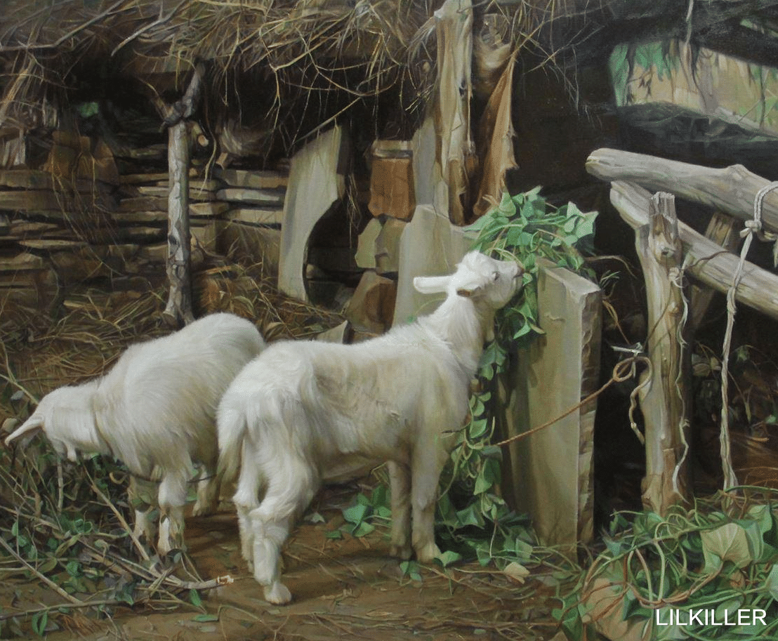 LILKILLER|不同出生年的生肖羊，8月运势有什么不一样呢？