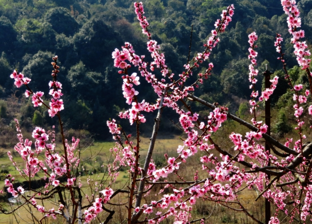 本人讲星座|9月,大运将至,一帆风顺,存款翻倍,3星座喜上眉梢,福禄不缺