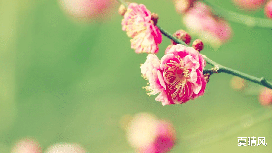  恭喜那些从不发朋友圈的人