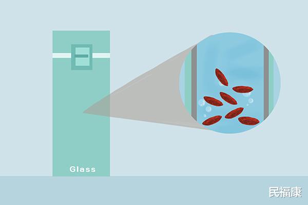 胆结石|入秋养生:谨记“3不要、3不急、3不宜”,助您安全过秋冬