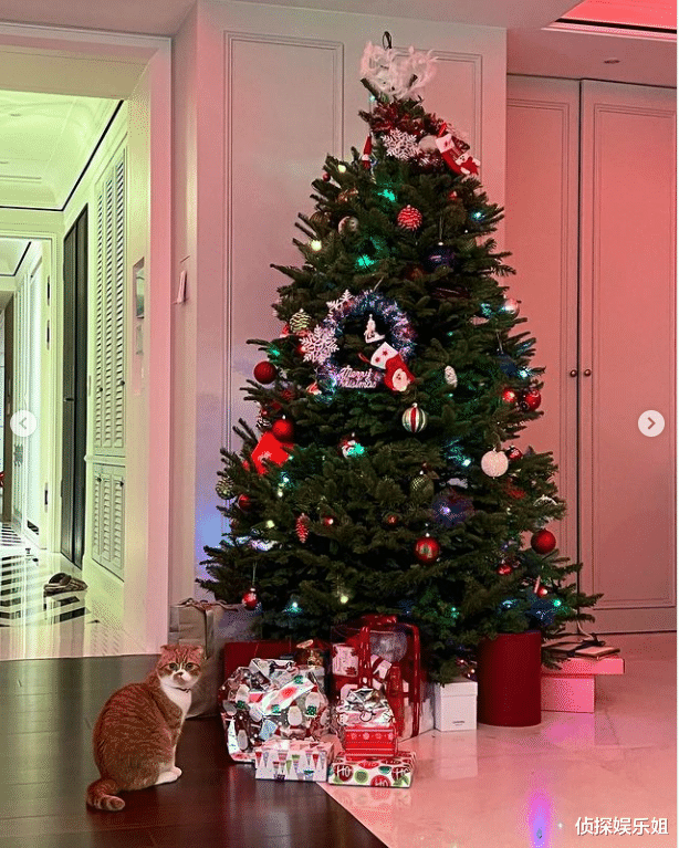 林志颖|林志颖熬夜准备圣诞礼物，小细节被疑有三胎，前任林心如赞好爸爸