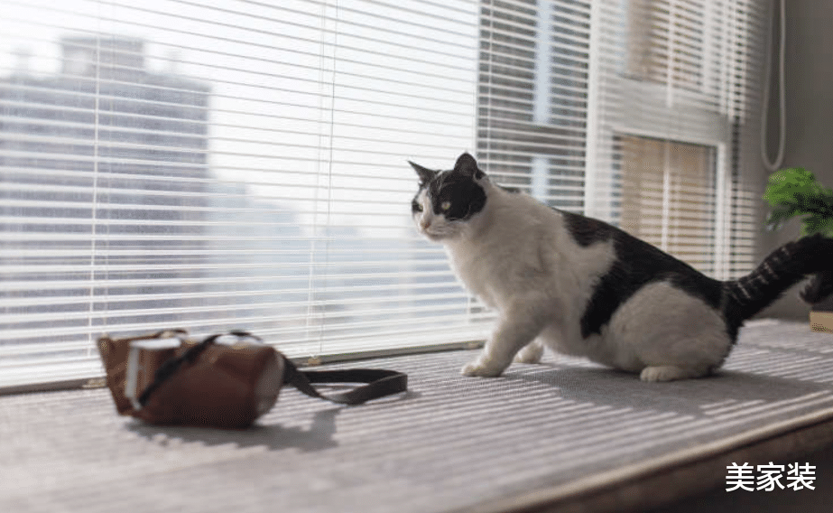凭窗眺望都市风光，用现代风谱写空间乐章，感受慢节奏的美好生活