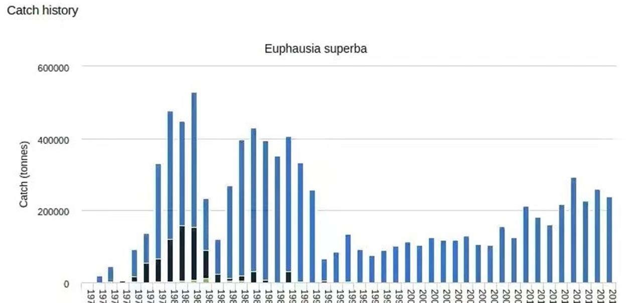 南极 10亿吨“海上金矿”——南极磷虾，为何中国成为了其最大受益者？