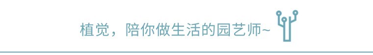 |找个院子生活，时间都能慢下来~