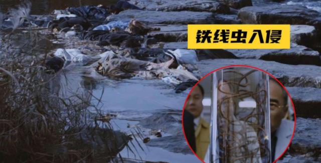 猪肉|吃掉脸、钻进眼,隐藏在人体内恐怖的“寄生虫”,你知道几个?