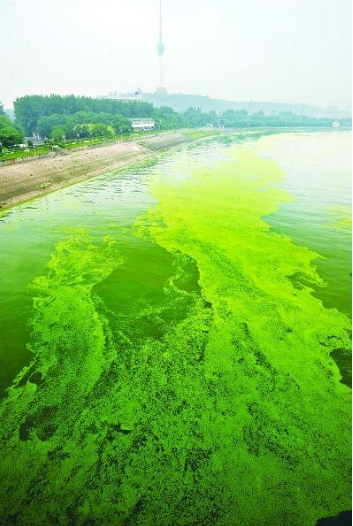 降息 未来的投资，我给你一个方向