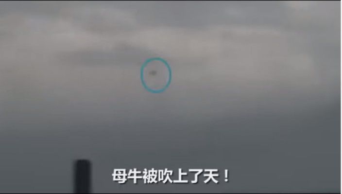 科普大世界 最大风力17级，苏州武汉同时出现龙卷风，这种风怎么会在城市出现