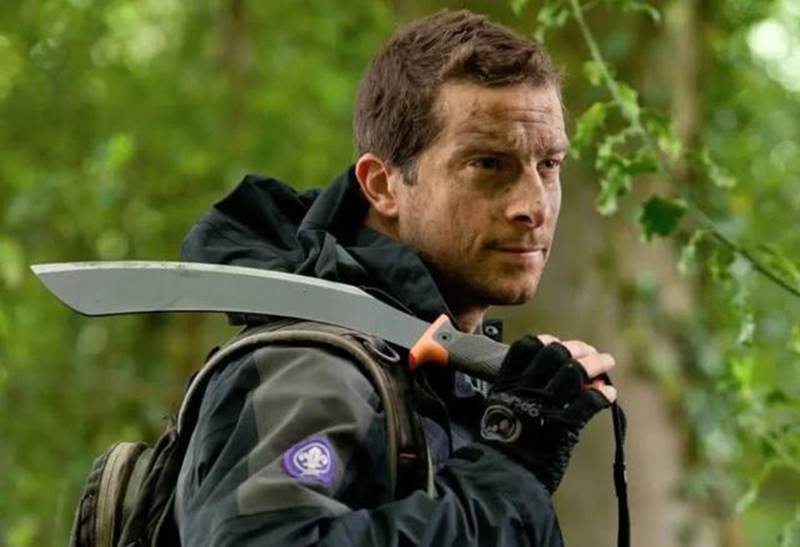 狮子 一个成年男性手持铁棍，能否打得过一只成年雄狮？