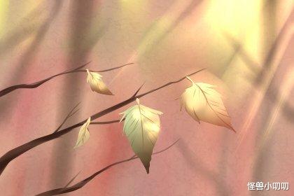 怪兽小叨叨 外柔内刚才是生肖兔的真实样子，遇事不怕事，内心坚强没人能打倒