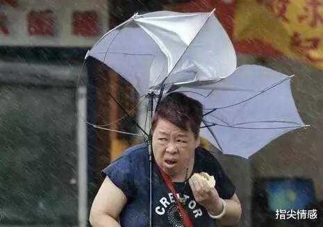 防晒|日本变态口袋伞，专治“懒得带伞”病！超高颜值，可挡99%紫外线