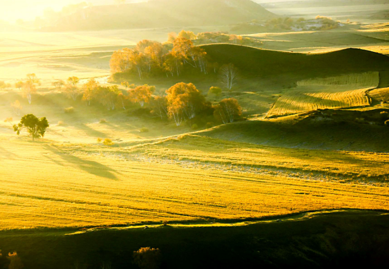 碰瓷 8月9日 七月初二，十二生肖运势与注意事项