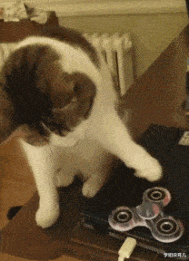 学姐说育儿|大数据误我啊,老夫一身正气为何一直给我推送这些东西,哪里出了问题?