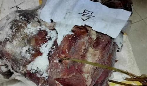 自家羊被咬死后,他残杀大熊猫被判13年,遇到熊猫吃羊该怎么办?
