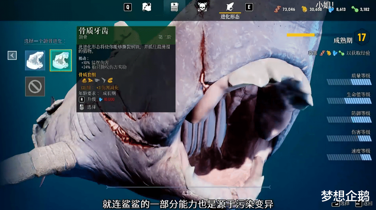 钓鱼网站|子非鱼焉知鱼之乐？《食人鲨》带你体验小鲨鱼找妈妈