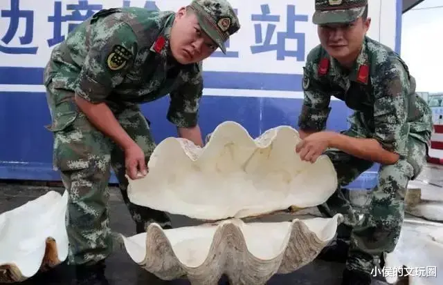 蝙蝠 看到某女星吃蝙蝠，我当场关掉视频！吃蝙蝠的人，到底在想什么？