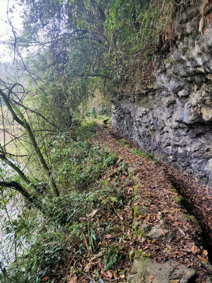 水库|今年最后一钓了，从新手到现在所有鱼获