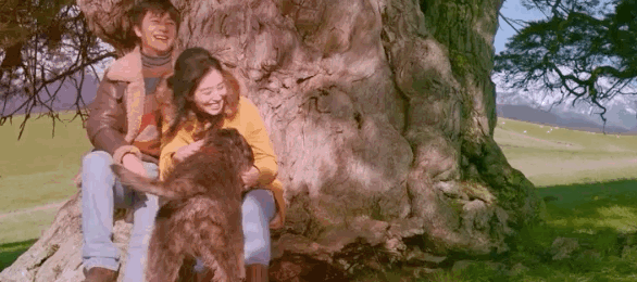 新西兰|老男人深情，最为致命