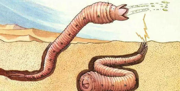 世界十大未解之谜之蒙古死亡之虫：是超出自然范围外的妖灵？