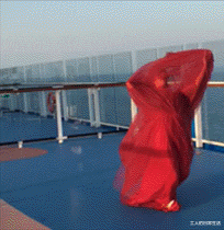 “前租客留下的,在床底下发现的,这是啥啊?”