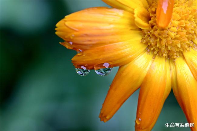 |啥日子生日的人，人穷志不短，贫民窟里走出个金凤凰