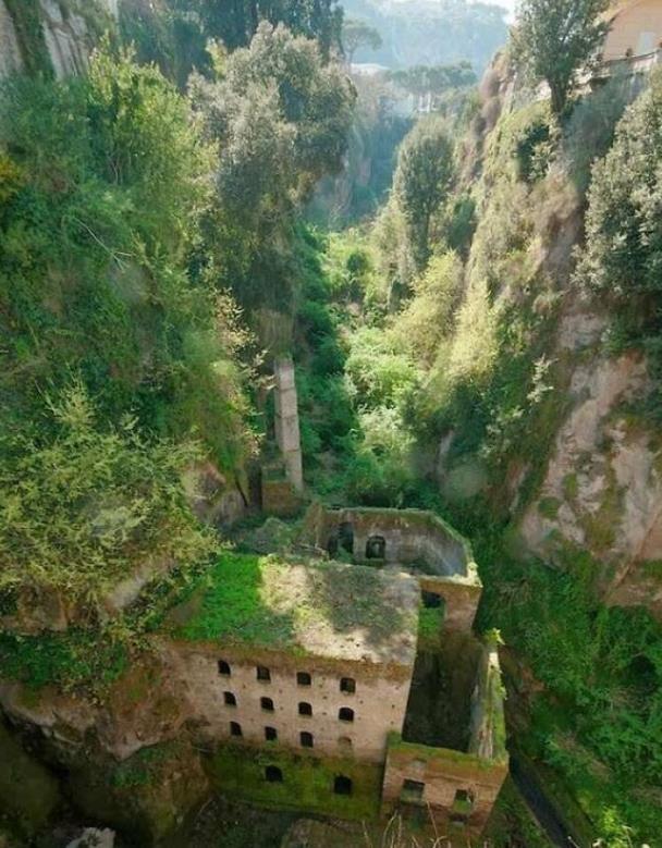 昆虫 14张图片告诉你:人类文明在大自然面前,是多么“不堪一击”!