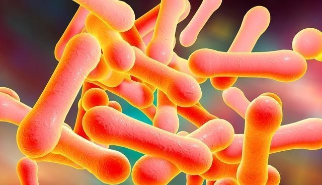 红豆杉 科学家:微生物可进入宇宙交流,可以利用微生物联系其他文明吗