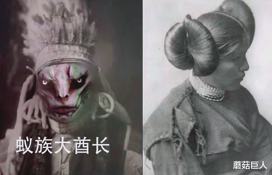 兔子 异星人降临兔子雪山，遭遇人类几无生还，你不敢相信的神秘往事