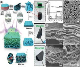 生物学 用于锂基电池的二维金属碳化物/氮化物（MXene）纳米复合材料的最新进展（二）