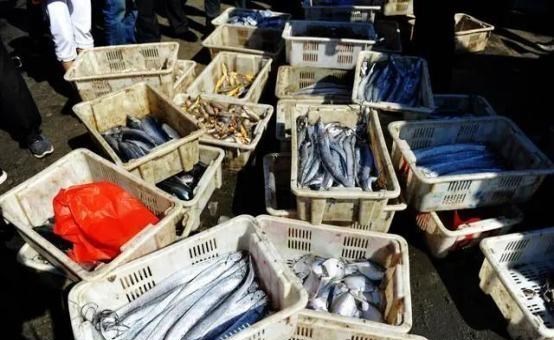 90后宝妈经验|刀鱼从60块钱一斤，跌至3块钱一斤，消费者：再便宜也买不起