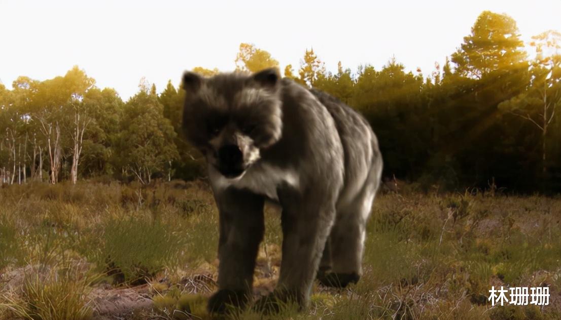 群星|动物广翅鲎：专吃海洋“浮尸”，4亿年前最先登陆地面的动物