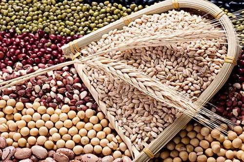 大蒜|孩子近视危害大！8个对视力有帮助的食谱，妈妈们学起来！