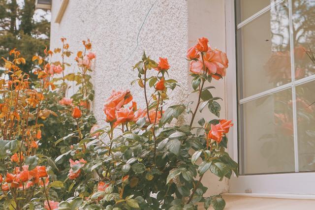 仲念念|男人爱你到极致了,才会如此对你,占两条以上说明你找对了人