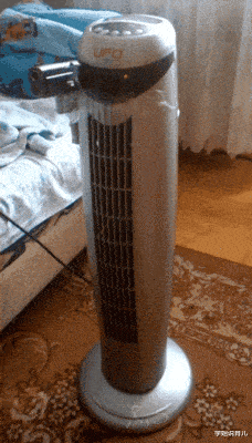 学姐说育儿|“小仙女的脚丫子,原来长着样啊?”终于窥见真容了哈哈哈