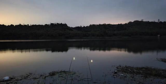珠江|夏天野钓要小心这3种动物，比蚊子狠太多