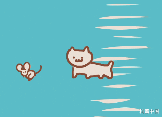 军团菌|吃草莓会导致出血热？这种传染病进入高发区，严重可致命