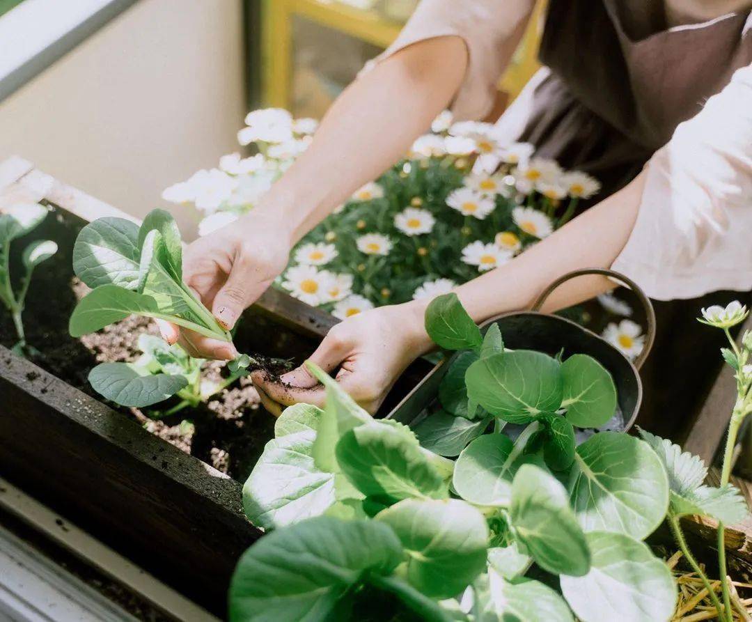 精致女人导师晓聪|最有情调的生活，可以这样过~