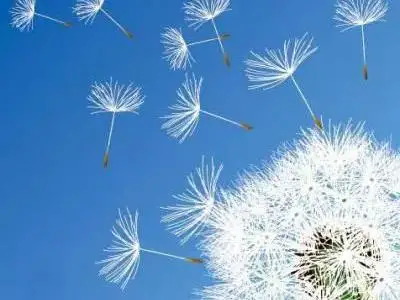 凡人凡举凡思|物来则应，过去不留——活着，别让爱恨把自己弄丢了