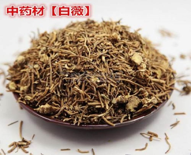 深度养生知识|走近中药，熟悉一下白薇，可以分为两种，退热之外还有哪些特点？