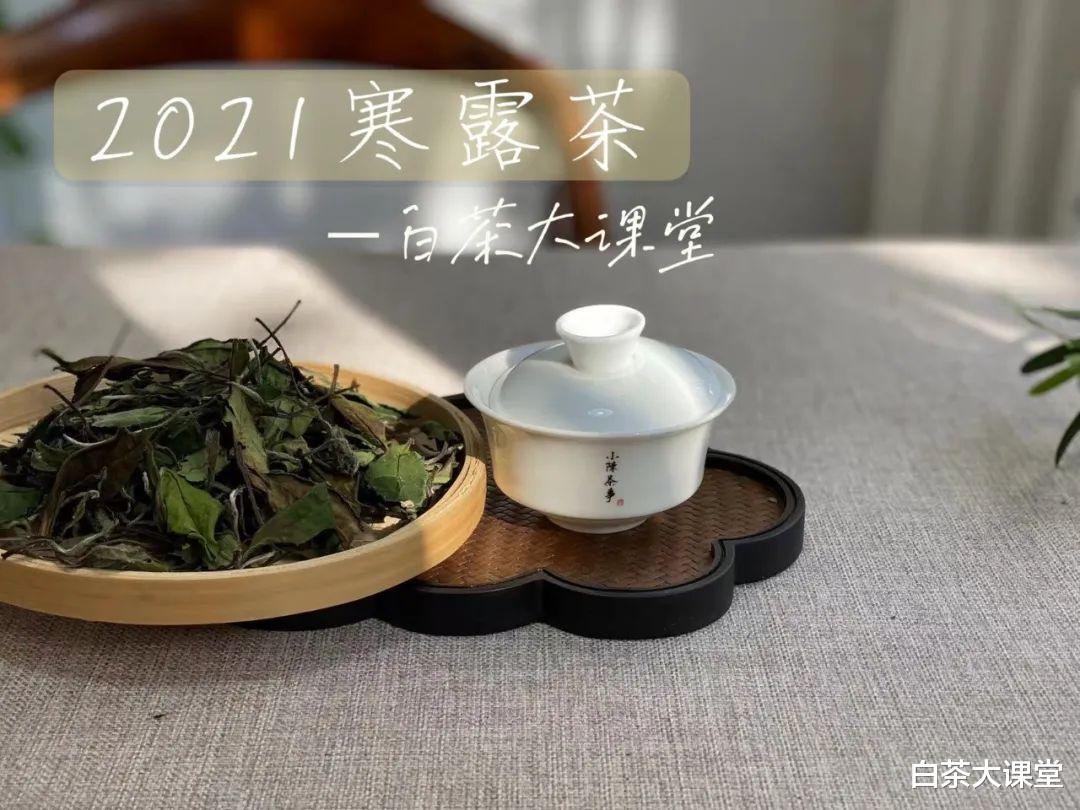 |天凉不适合饮白茶？你错了，这才是冬天最舒服的喝茶方式