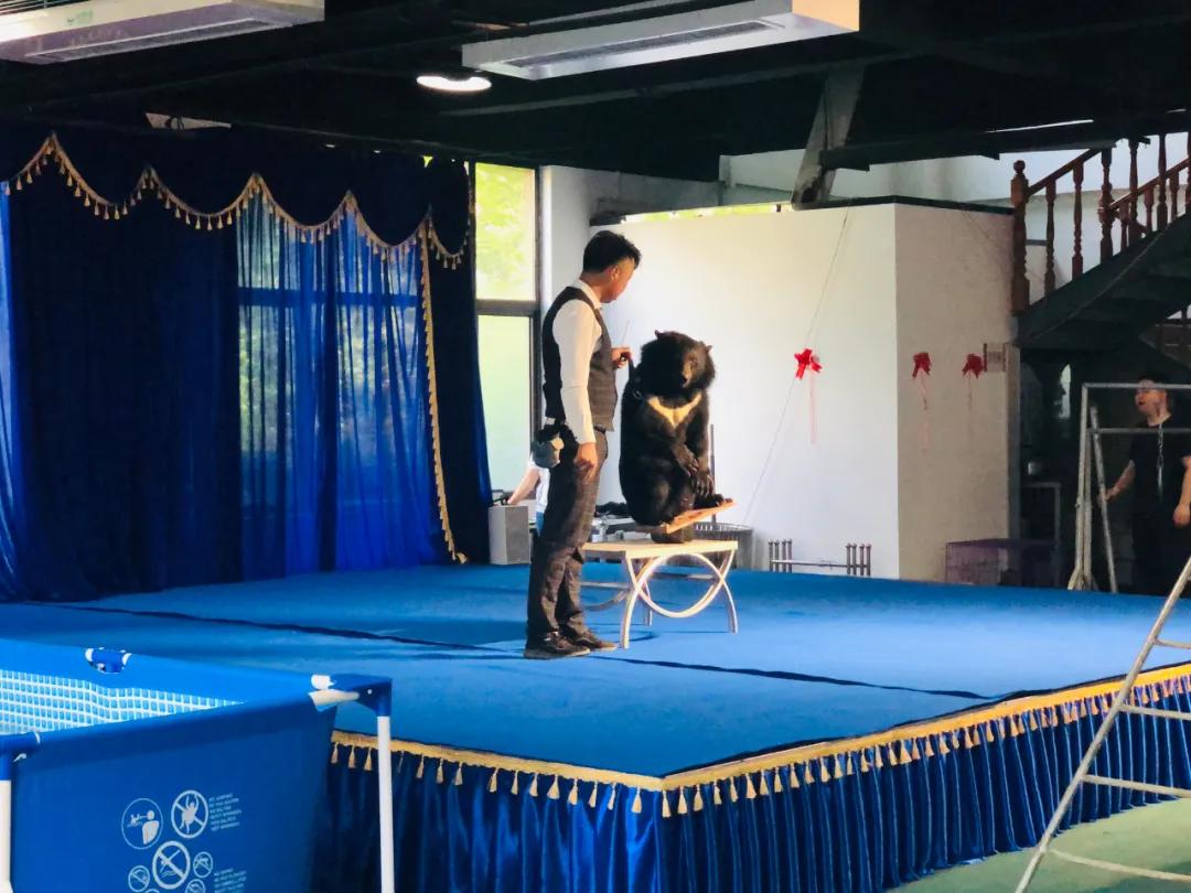 新报业传媒 立夏 鸡公山景区“五一”小长假完美收官