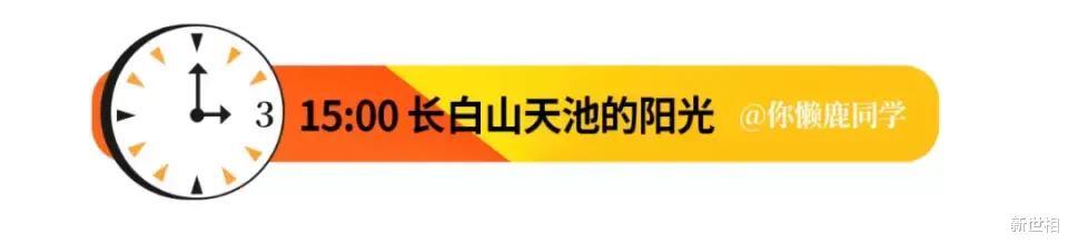 新世相 深夜11点上海烟花刷屏，拯救你的是温柔